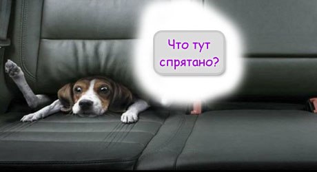 М О З Ы Р Ь - ExliE Юля Style Даша Коркина Егор Валчёк
